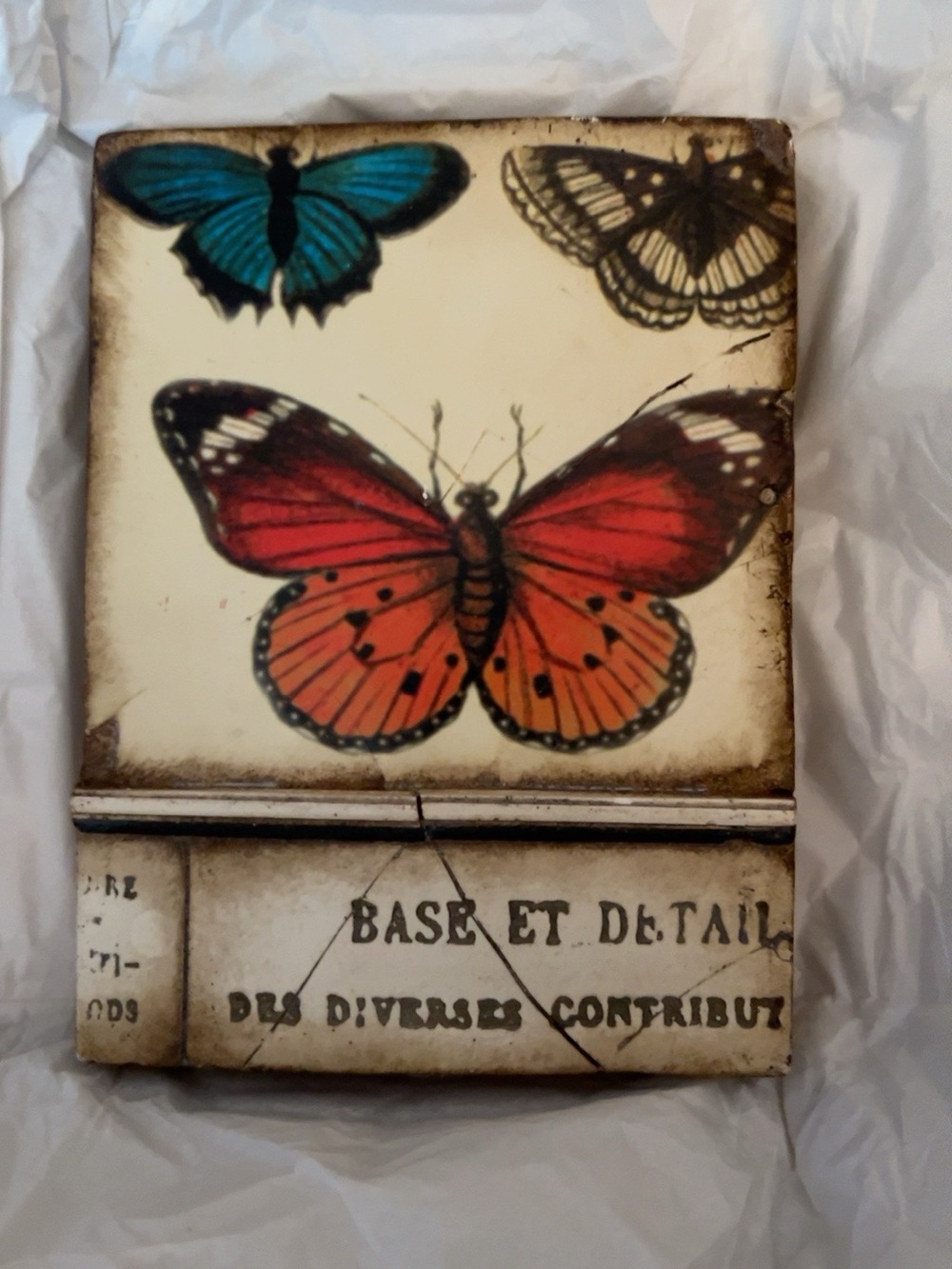 Sid Dickens Memory Block T139 – Butterfly